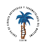 Logo ECOTM blanco